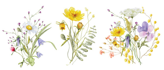 Fototapeta Wild flowers watercolor bouquet botanical hand drawn illustration obraz