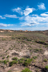 landscape in the desert