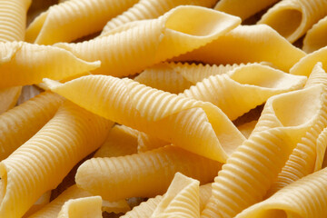 Italian pasta background