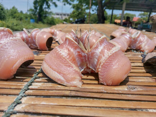 Samut Prakan jerky gourami local dried fish