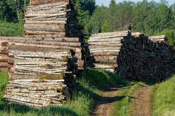 Lumbering in Latvia