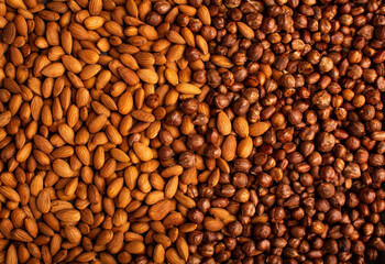 Natural background made from different kinds of nuts.