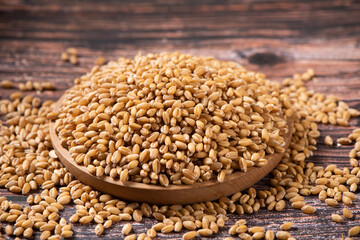 pile of wheat seeds in a plate on wooden table