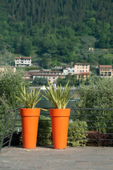 Two large plant pots on the balcony.