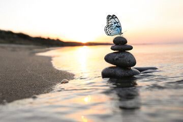 Beautiful butterfly and stones on sandy beach near sea at sunset. Zen concept