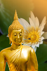 buddha