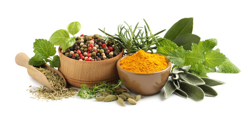 Different fresh herbs with aromatic spices on white background