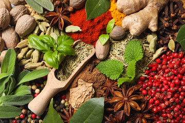 Different fresh herbs with aromatic spices as background, top view