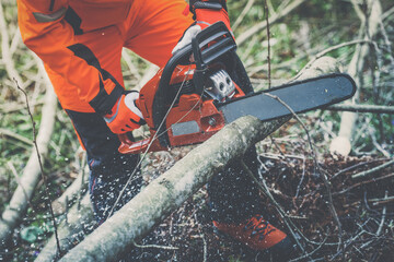 Man holding a chainsaw and cut trees. Lumberjack at work wears orange personal protective...