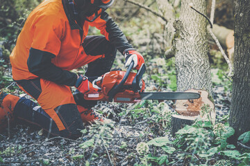 Man holding a chainsaw and cut trees. Lumberjack at work wears orange personal protective...