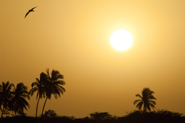 Dawn over the Senegal River. Langue de Barbarie National Park. Saint-Louis. Senegal.