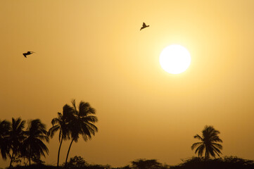 Dawn over the Senegal River. Langue de Barbarie National Park. Saint-Louis. Senegal.