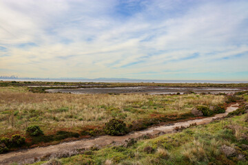 landscape of the river and wetlands in coastal park with sea in background