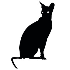 Silhouette of sitting Sphynx cat on white background