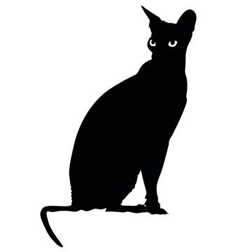 recommend clip art: Silhouette of sitting Sphynx cat on white background