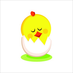 Cute hatched chick on white background