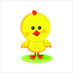 Cute yellow chick on white background