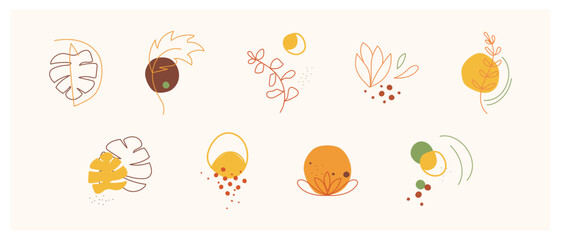 Collection of abstract elements in minimalist style with botanical elements. Abstract icons hand drawn vector illustration