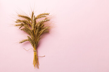 Sheaf of wheat ears close up and seeds on colored background. Natural cereal plant, harvest time...