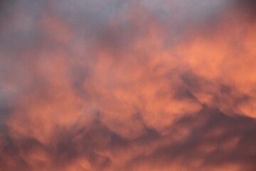 Fototapeta na wymiar Pink sunset