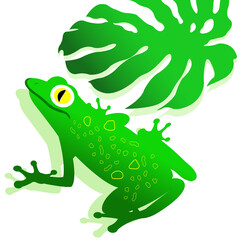 vector illustration of green frog on white