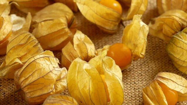 Sweet physalis berry on burlap.