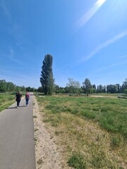Obraz premium Walking under the blue sky