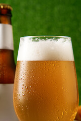 Bottle and glass of beer on the green grass background.