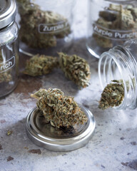 Cannabis buds dried and trimmed in glass jars with light background
