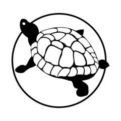 abstract turtle black logo isolated on white background