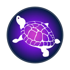 abstract turtle blue logo isolated on white background