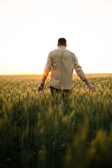 Naklejka na ściany i meble person in the field , man walking in wheat field at sunset
