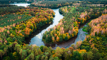 Colorful autumn forest and turning river, aerial view of Poland