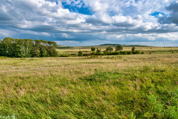 landscape in the summer