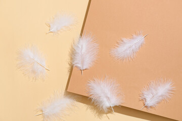 Many white feathers on color background