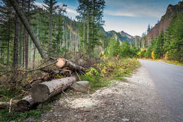 Mountains road in Tatras at autumn, Poland. Nature, Poland.