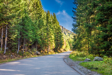 Road in the Tatras Mountains at autumn. Nature in Poland. - obrazy, fototapety, plakaty