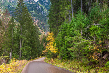 Road and forest in Tatras mountains. Nature in Poland.