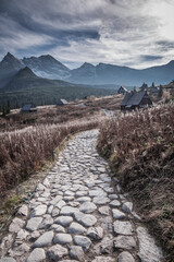 Stony path to Tatra mountains valley, Poland. Wildlife in Poland. © shaiith