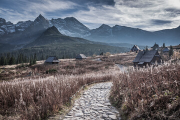 Stunning view to path in Tatras, Poland. Wildlife in Poland. - obrazy, fototapety, plakaty