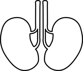 kidneys icon. sign design line art on white background..eps