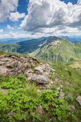 Fototapeta premium Beautiful nature. Mountain hiking Trail Road. Italy Lago Avostanis Casera Pramosio Alta