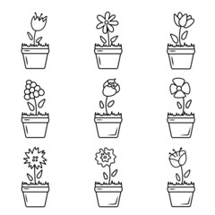 Flower, plant in pot vector icons set. Doodle collections of flowers for interior decorated recent vector templates set. House plants icon set. Flower in pot linear design. Line with editable stroke