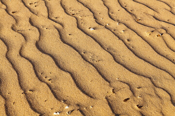 Arena de la playa de Tarifa