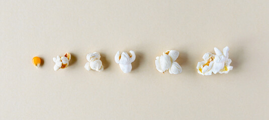 Stages of preparation of popcorn. Grain of corn and popcorn on a pastel background. Banner. - obrazy, fototapety, plakaty