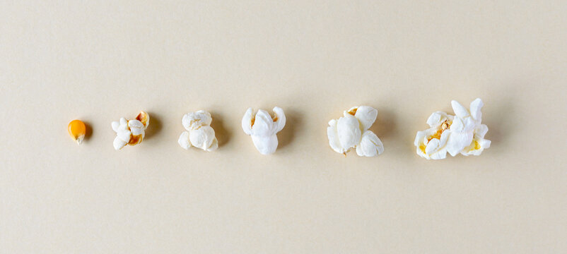 Stages of preparation of popcorn. Grain of corn and popcorn on a pastel background. Banner.