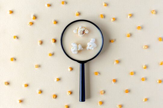 A pattern with corn and a magnifying glass through which popcorn can be seen. View through a loupe to maize grains. Food control, corn seed quality in focus