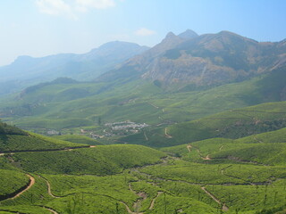 Obraz premium Beautiful fresh green tea plantation in Munnar, Kerala, India