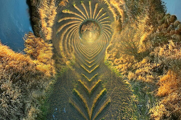 forest tunnel small planet abstract landscape background