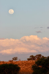 Barren, arid landscape of the Kgalagadi